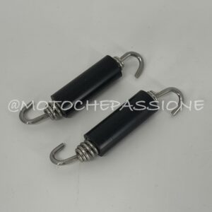 Molle (2 pz.) / springs (2 pcs)